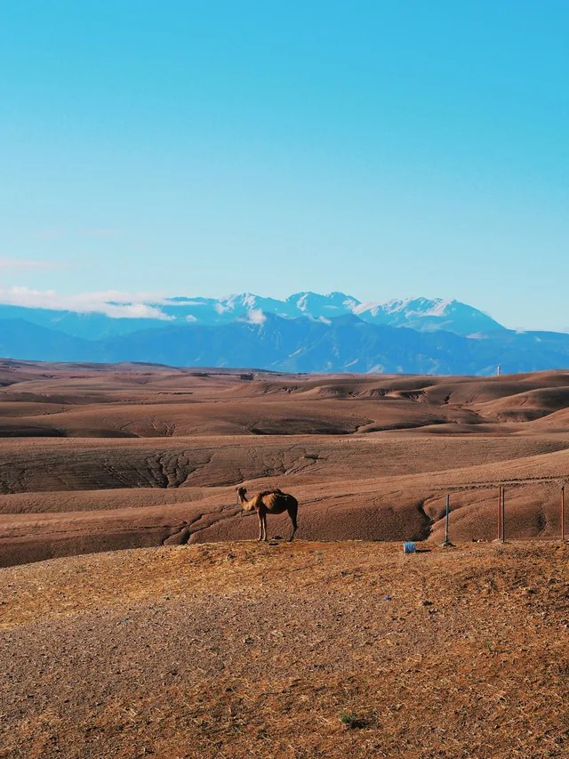 El desierto de Agafay · Riad Tajania